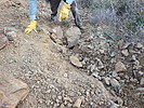 photo thumbnail #4