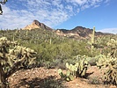 photo thumbnail #3