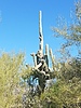 photo thumbnail #5