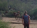 photo thumbnail #11