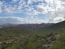 photo thumbnail #13