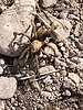 photo thumbnail #12