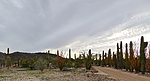 photo thumbnail #10