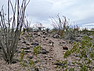 photo thumbnail #12