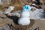 photo thumbnail #8