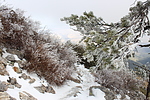 photo thumbnail #12