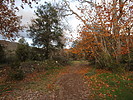 photo thumbnail #3