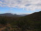 photo thumbnail #2
