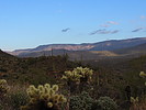 photo thumbnail #3