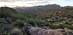 photo thumbnail #2