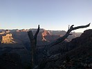 photo thumbnail #14