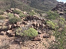 photo thumbnail #7