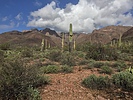 photo thumbnail #11