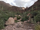 photo thumbnail #13