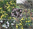 2018-11-22 :2: Tortilla Mountains - AZT #15 :: tibber