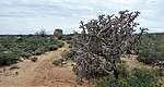 2018-11-22 :1: Tortilla Mountains - AZT #15 :: tibber