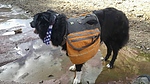 photo thumbnail #7