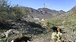 photo thumbnail #4