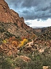 photo thumbnail #3