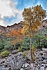 photo thumbnail #12
