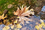 photo thumbnail #14