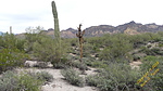 photo thumbnail #4