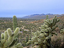 photo thumbnail #3