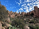 photo thumbnail #1