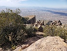 photo thumbnail #4