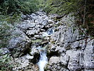 photo thumbnail #10