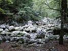 photo thumbnail #11