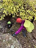 photo thumbnail #12