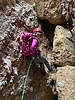 photo thumbnail #15