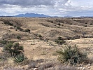 photo thumbnail #15