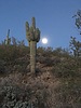 photo thumbnail #1