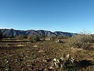 photo thumbnail #5