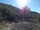 photo thumbnail #14
