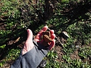 photo thumbnail #11