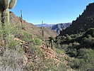 photo thumbnail #4