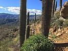 photo thumbnail #7