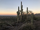 photo thumbnail #4