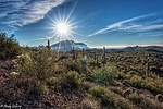 photo thumbnail #14