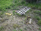 photo thumbnail #10