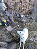 photo thumbnail #5