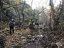 photo thumbnail #3