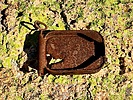 photo thumbnail #13