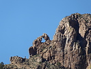 recent photo