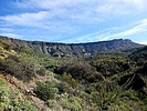 photo thumbnail #5
