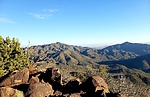 photo thumbnail #13