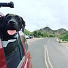 photo thumbnail #1
